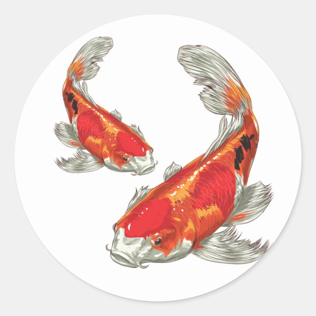 Sticker Rond Carpe Koï chanceuse (Devant)