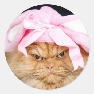 Sticker Rond Carte de Pâques Bunny Cat