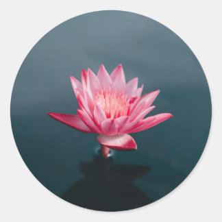 Sticker Rond Carte de voeux rose