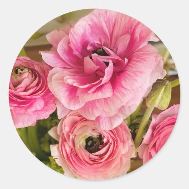 Sticker Rond Carte de voeux rose Ranunculus (Devant)