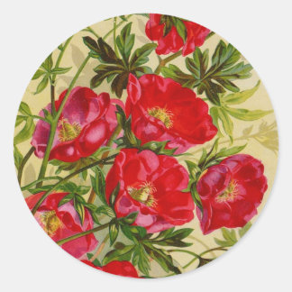 Sticker Rond Cartes de catalogue de paquets de semences vintage