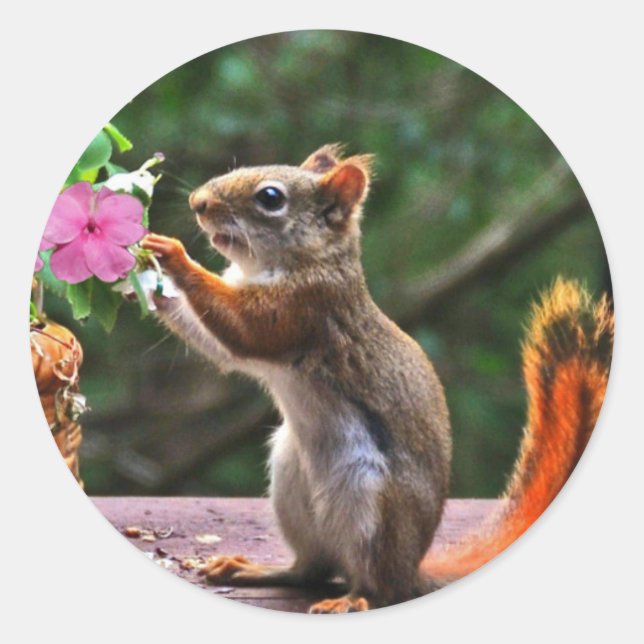 Sticker Rond Cartes Rosh Hashanah Cadeaux (Devant)