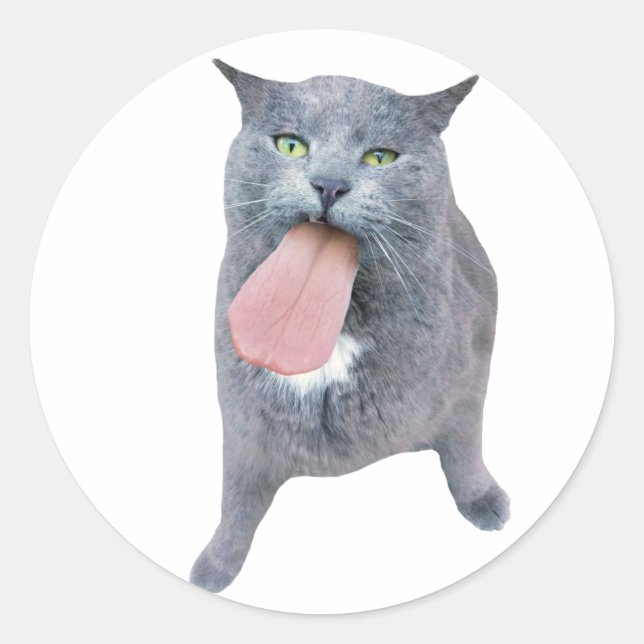 Sticker Rond Cat A Te Langue ? (Devant)