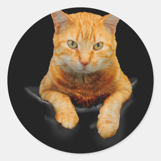 Sticker Rond Cat Animaux Creative Chat Motif Sac Chat (Devant)