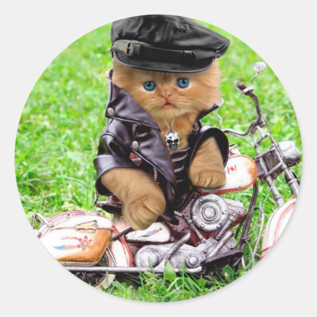 Sticker Rond Cat in a motorcycle (Devant)