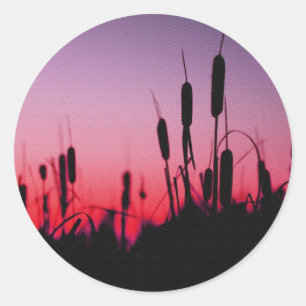 Sticker Rond Cattails au coucher du soleil