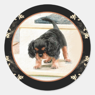 Sticker Rond Cavalier King Charles Spaniel