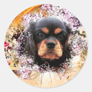 Sticker Rond Cavalier King Charles Spaniel