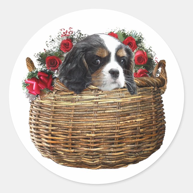 Sticker Rond Cavalier King Charles Spaniel (Devant)