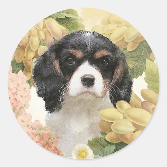 Sticker Rond Cavalier King Charles Spaniel (Devant)