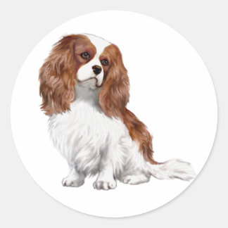 Sticker Rond Cavalier King Charles Spaniel (A) - Blenheim 1