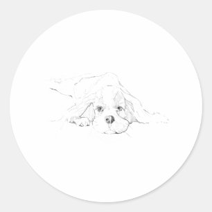 Sticker Rond Cavalier King Charles Spaniel Animal de compagnie