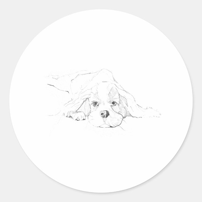 Sticker Rond Cavalier King Charles Spaniel Animal de compagnie (Devant)