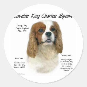 Sticker Rond Cavalier King Charles Spaniel (Blenheim) Histoire