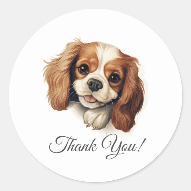 Sticker Rond Cavalier King Charles Spaniel Chien Merci (Devant)