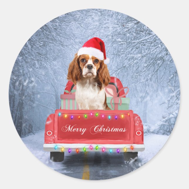 Sticker Rond Cavalier King Charles Spaniel Chien neige noël (Devant)