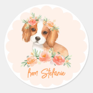 Sticker Rond Cavalier King Charles Spaniel Peach Anniversaire
