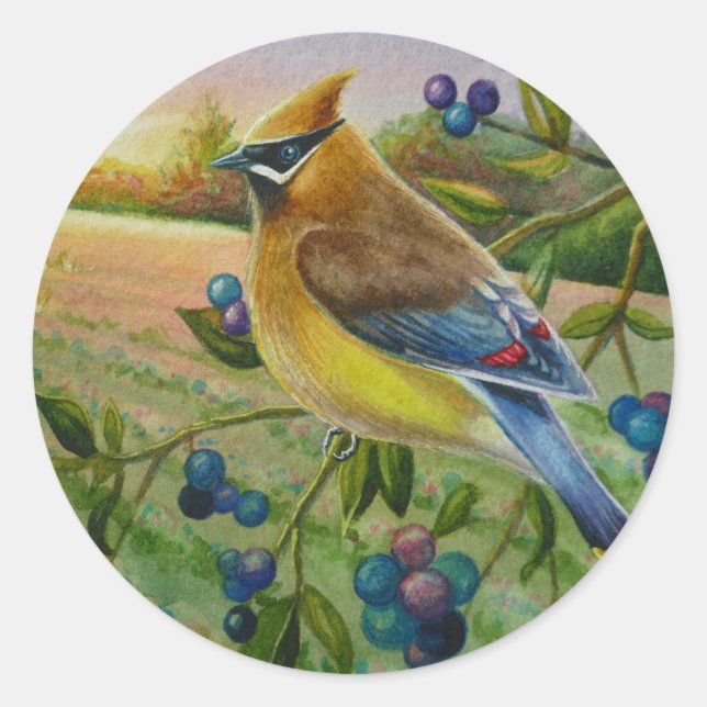 Sticker Rond Cèdre cire Oiseau Blueberry Farm Aquarelle Art (Devant)