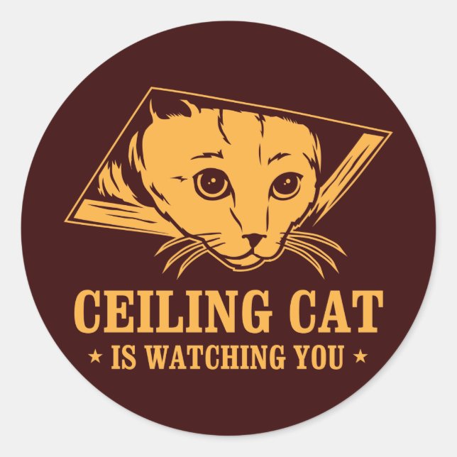Sticker Rond Ceiling Cat vous regarde (Devant)
