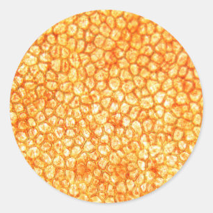 Sticker Rond Cellules tomates au microscope