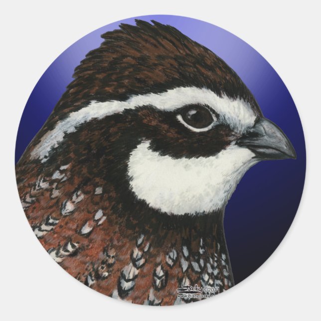 Sticker Rond Cercle de tête de colin de Virginie (Devant)
