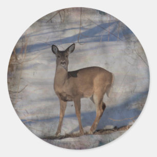 Sticker Rond Cerf dans la neige