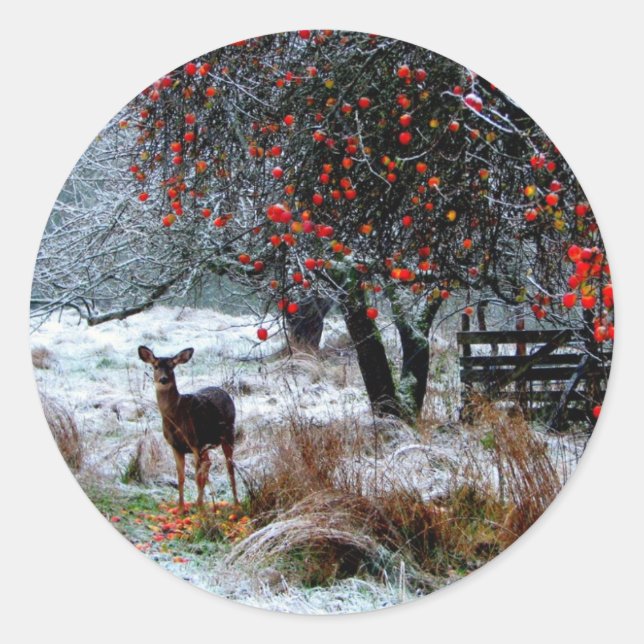Sticker Rond Cerf en hiver (Devant)