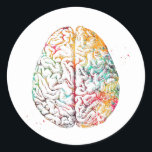 Sticker Rond Cerveau humain<br><div class="desc">Cerveau humain,  Anatomie du cerveau,  Aquarelle,  Art scientifique Médicale,  Art anatomique</div>
