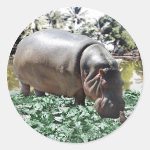 Sticker Rond C'est bon que nous soyons différents, nous pouvons