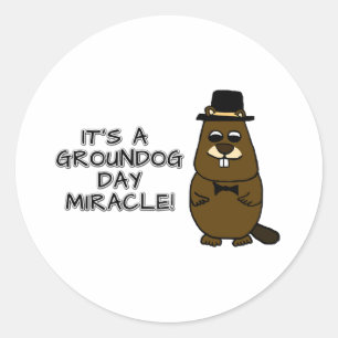Sticker Rond C'est un miracle du jour des marmottes
