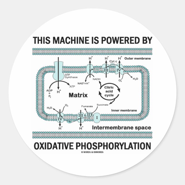 Sticker Rond Cette Machine Alimentée Par La Phosphylation Oxida (Devant)