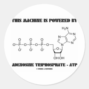 Sticker Rond Cette machine est actionnée par l'adénosine