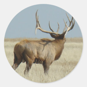 Sticker Rond Challengeur d'élans d'E20 Taureau