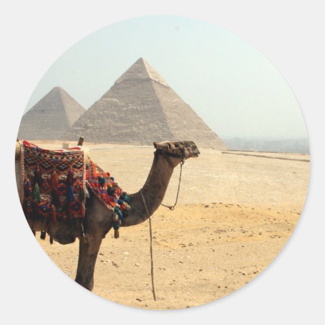 Sticker Rond chameau pyramide (Devant)