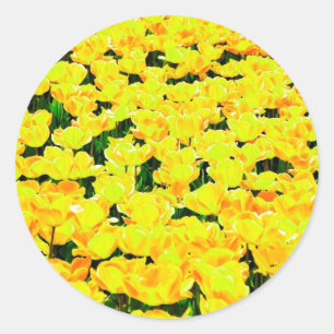 Sticker Rond Champ de tulipe - jaune or