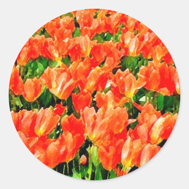 Sticker Rond Champ orange de tulipes (Devant)