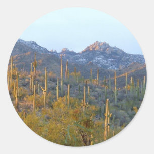 Sticker Rond Champ Sunlit Saguaro