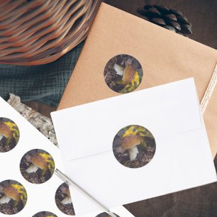 Sticker Rond Champignons Bolete aux feuilles jaunes