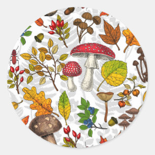 Sticker Rond Champignons d'automne, feuilles, noix et baies sur