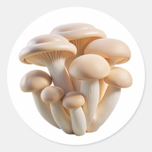 Sticker Rond Champignons de Paris Bébé en Plastique 3D – Laque