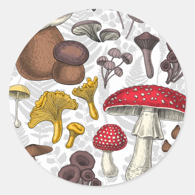 Sticker Rond Champignons sauvages (Devant)