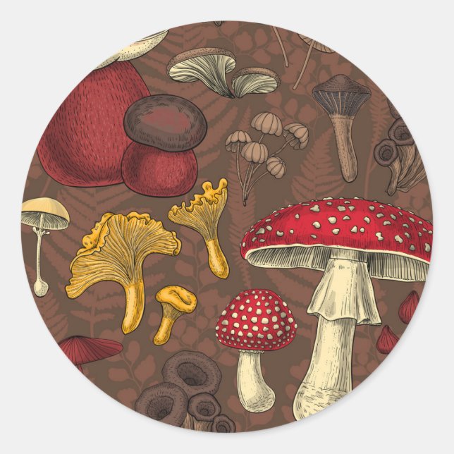 Sticker Rond Champignons sauvages sur brun (Devant)