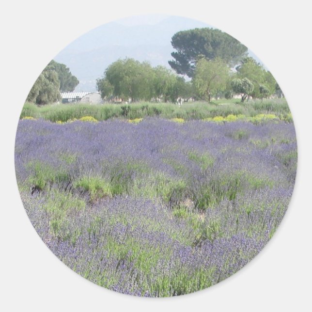 Sticker Rond Champs Lavande (Devant)