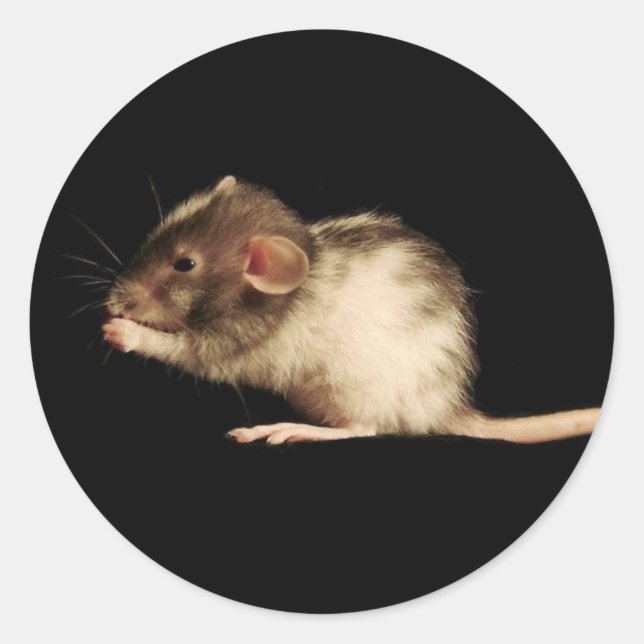 Sticker Rond chanceux (Devant)