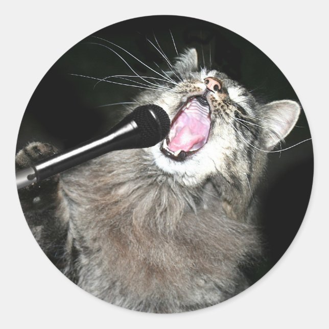 Sticker Rond Chant chat (Devant)