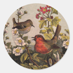 Sticker Rond Chant d'oiseaux du printemps vintage botanique flo