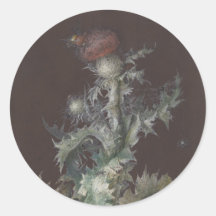 Chardon aux insectes 1755 Johann C. Dietzsch