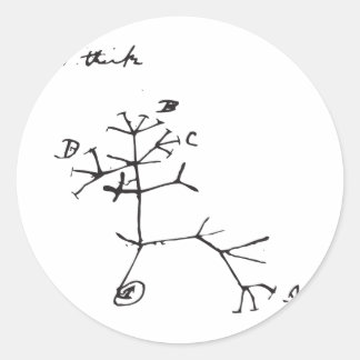 Sticker Rond Charles Darwin - Je pense (noir)