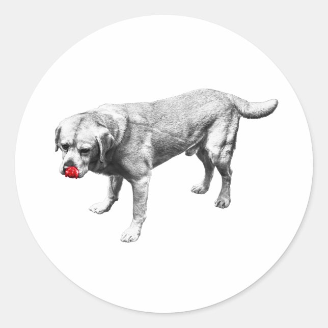 Sticker Rond Charme de sortie de langue (Devant)