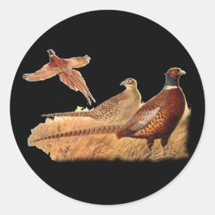 Sticker Rond Chasse évasive d'oiseau de faisan
